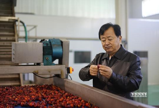 在项目建设上找准问题精准发力 高要：“五个一批”项目稳增长强后劲